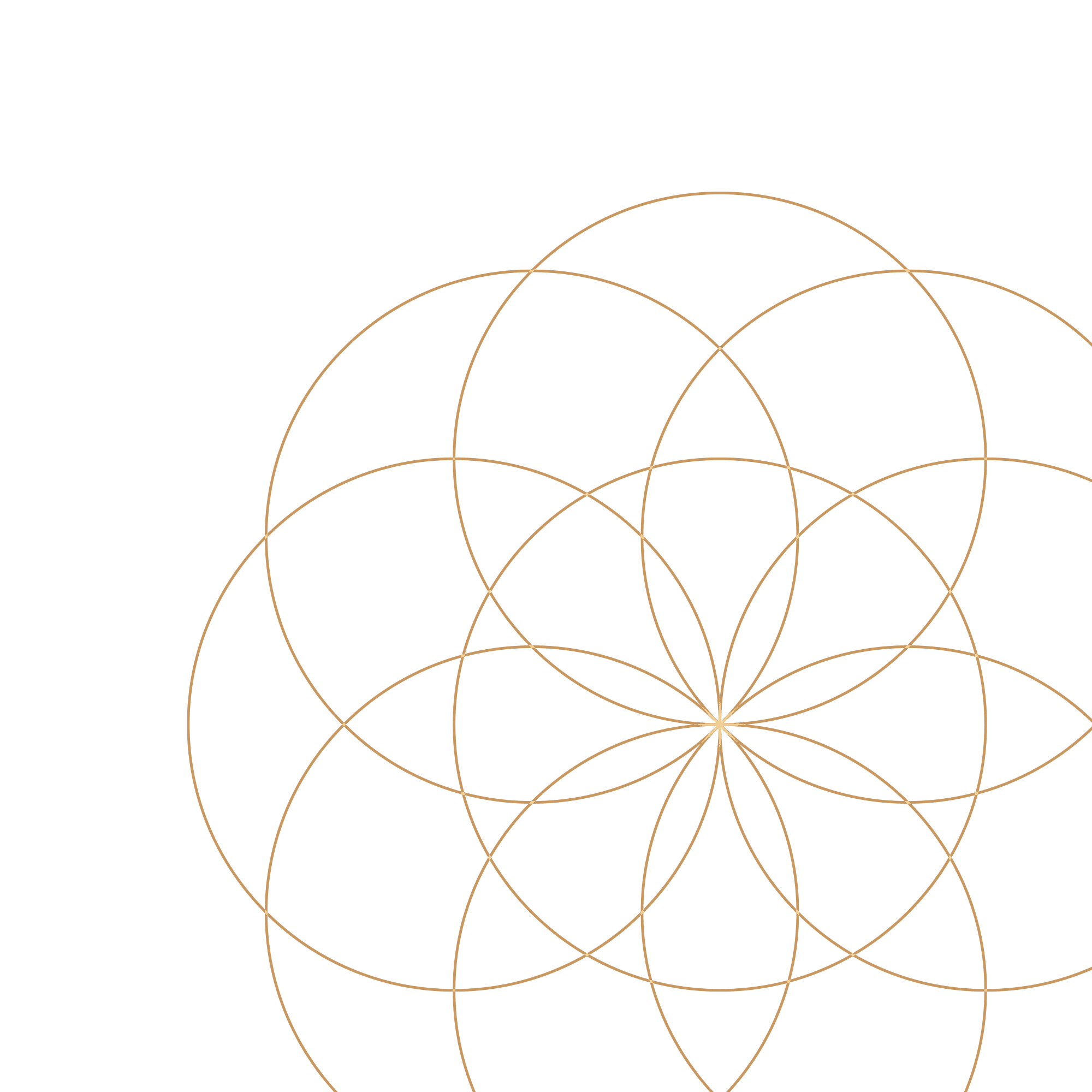 flower-life flower pattern