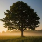 Group logo of Inspired by Nature