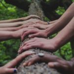 Group logo of Noosa Community Board (uncensored)